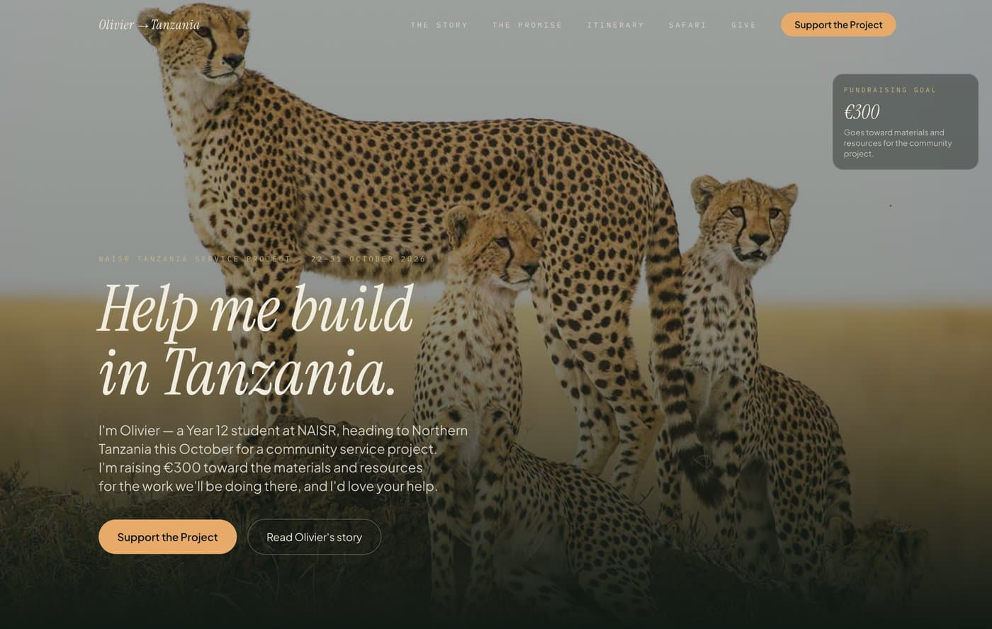 Preview of the Tanzania fundraising project site